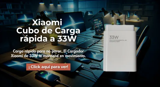 Cargador 33W